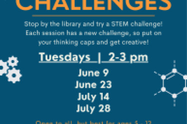 Stem Challenges Summer 2026