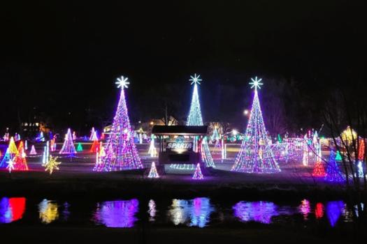 Winter Park Lights 