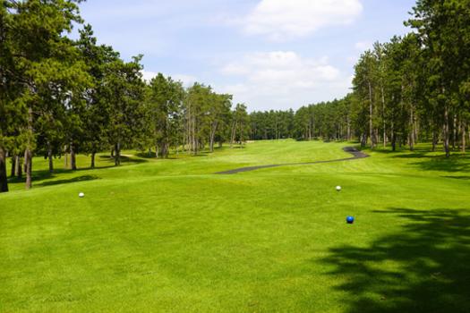 golf course 