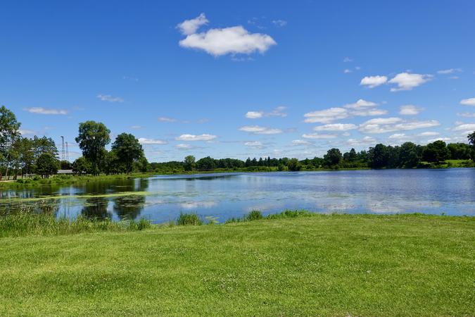 Perch Pond - Memorial Park 